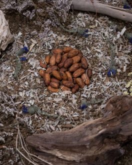 altar_detalle_cacao